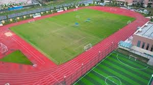 神经科学：解析“近失效应（Near-Miss）”如何在大脑中激活类似于赢钱的区域。（神经科学揭示，“近失效应”如何触发与赢奖相似的脑区活动）